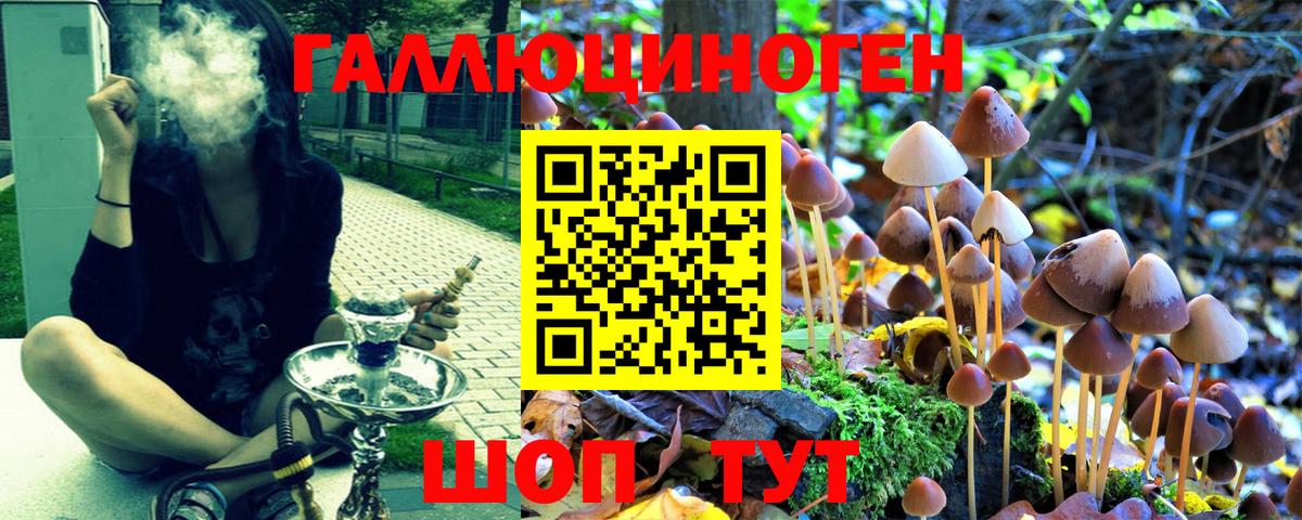 Псилоцибиновые грибы GOLDEN TEACHER  Вход с VPN  где купить наркоту  Еманжелинск 